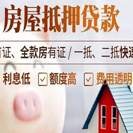 镇坪贷款助贷公司新渝启服成立时间久